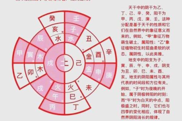 揭秘仅五行是，背后的深刻意义