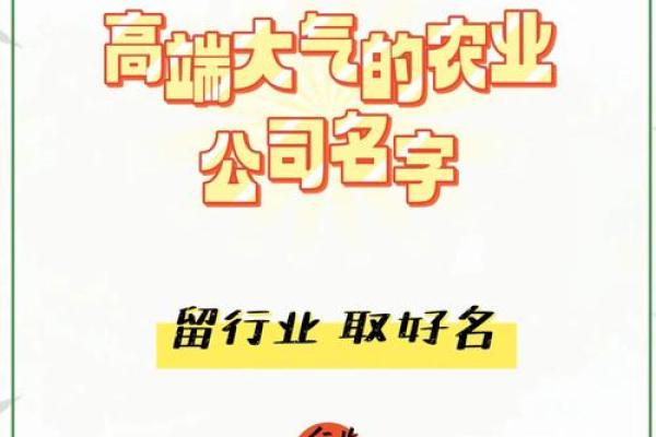 为农牧公司创意命名的五个技巧与灵感