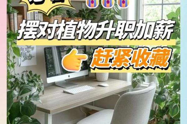 大佬办公室风水攻略 助力事业腾飞的布局秘诀