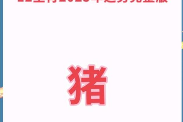本命年猪男如何把握机会