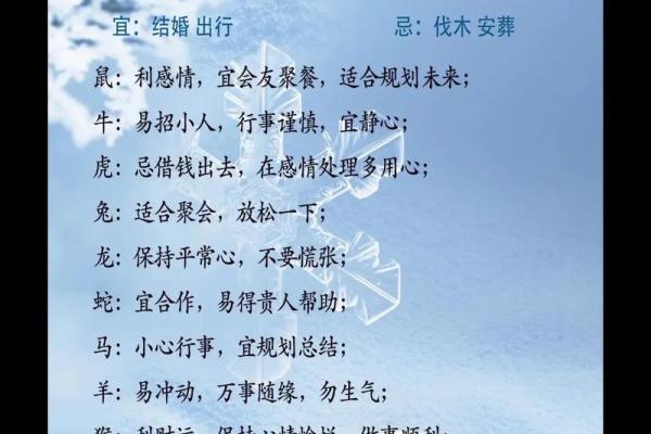 想知道自己生肖的真正来源吗？农历和阳历差异大揭秘