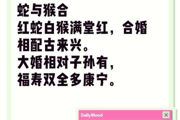 猪与猴是否天作之合 探索生肖配对的奥秘