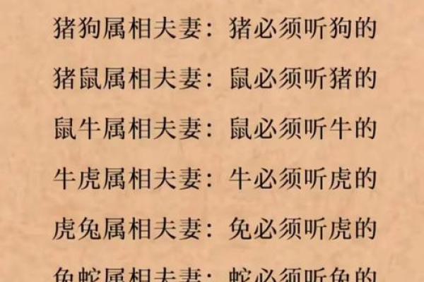 猪与猴是否天作之合 探索生肖配对的奥秘