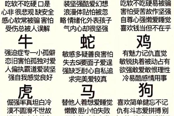 命主所代表生肖的性格特点