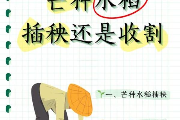 芒种节气与农田的秘密关系，你知道吗？