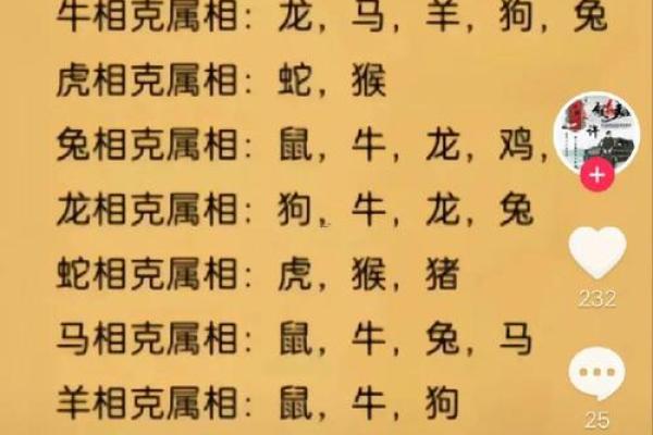 蛇蛇在一起合适吗 如何判断生肖配对的最佳组合