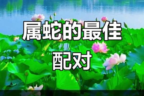 蛇蛇在一起合适吗 如何判断生肖配对的最佳组合