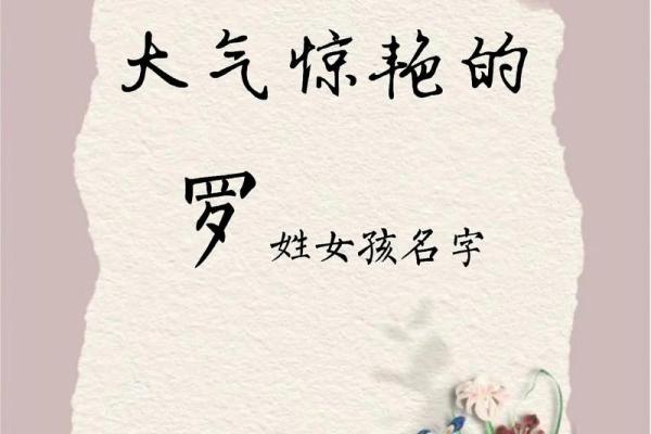 探索罗字名字背后的传统与现代象征