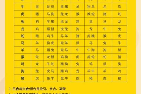 奇五行属性的奥秘解析，你了解多少？