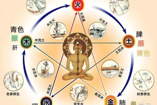 奇五行属性的奥秘解析，你了解多少？