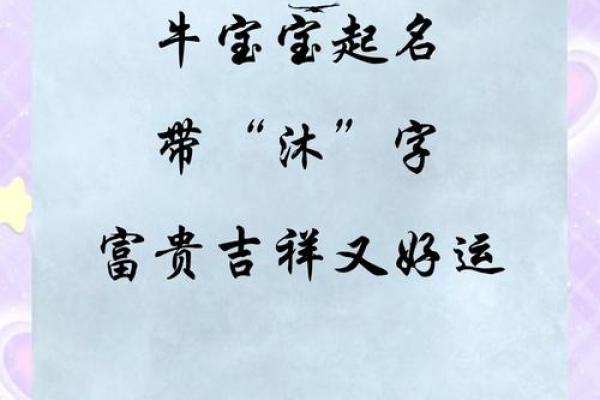 沐字的五行属性解析与命理关系揭秘