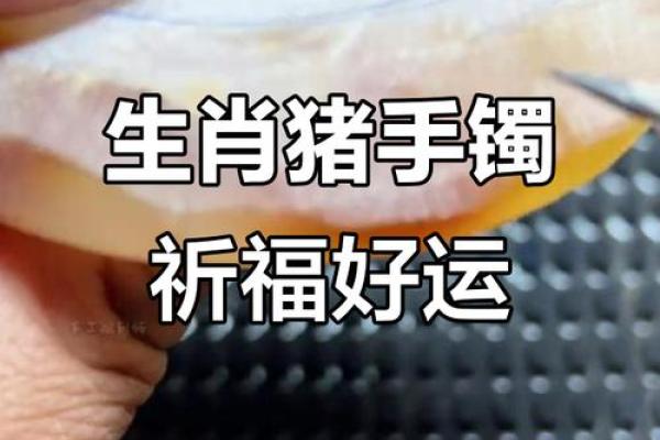 本命年属猪如何迎接挑战和机遇