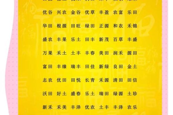 如何为公司选择一个独特且富有创意的名字