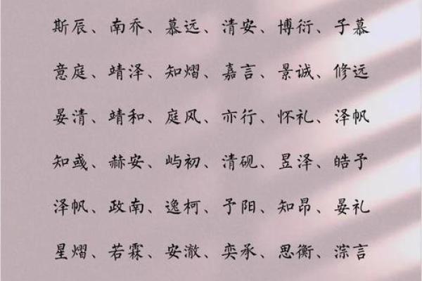 探索寓意深远的男孩名字选择