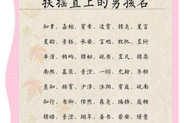 探索寓意深远的男孩名字选择
