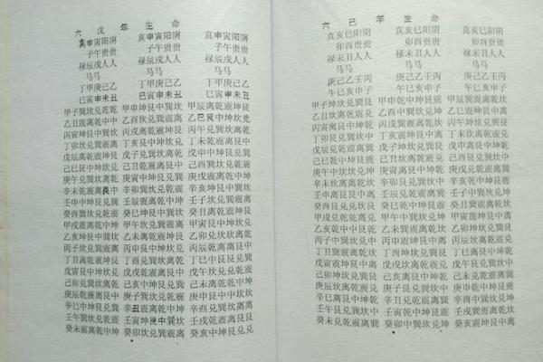 命禄马贵人是什么 解析其在命理学中的重要性与影响