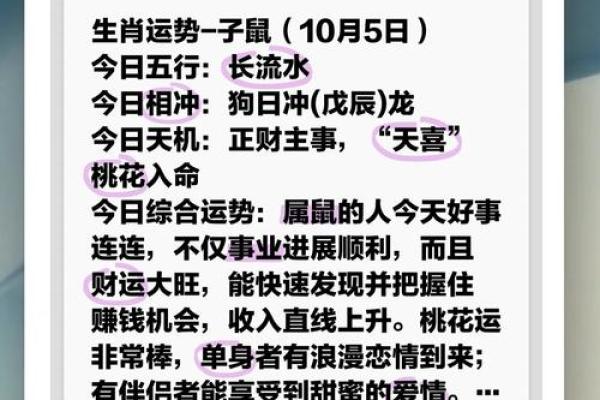 属鼠五行分析，了解你的命运走向