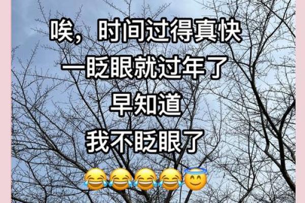 如何通过贵日八字预测人生关键时刻，命运掌控在你手中