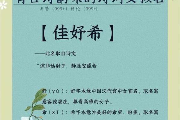 女孩诗意优雅名字推荐 提升气质与魅力的精选之选