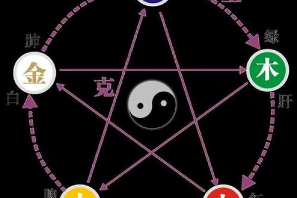 黑狗五行命理解析：如何根据五行改善运势？