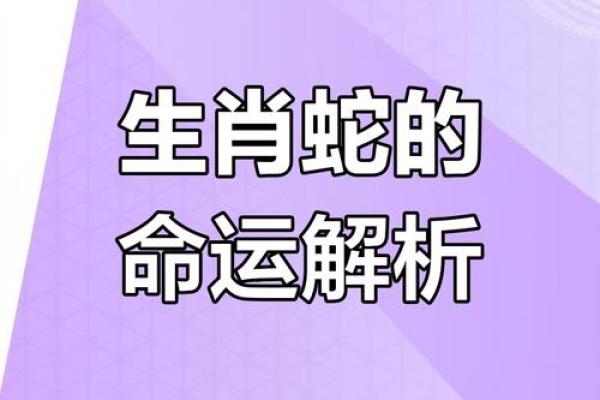 属蛇人的运程大揭秘