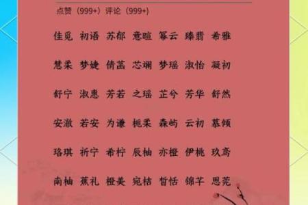 女孩诗意优雅名字推荐 提升气质与魅力的精选之选