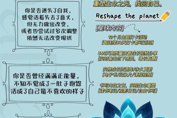 命无过的深层含义与人生智慧探讨