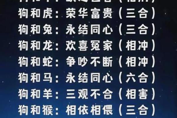 生肖鼠与猪的性格匹配度解析
