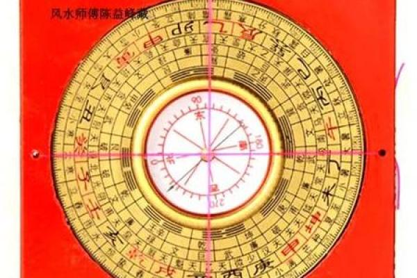 蜜蜂风水如何影响招财运势秘诀解析