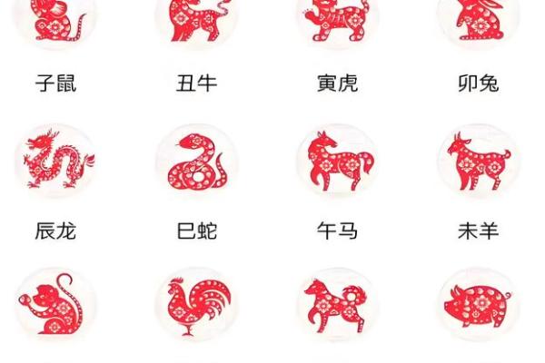 猪宝宝起名大全，免费获取灵感