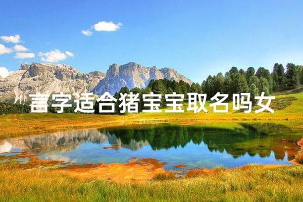 猪宝宝起名大全，免费获取灵感