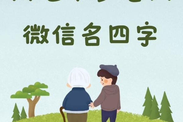 老人微信名字推荐，彰显个性与温暖