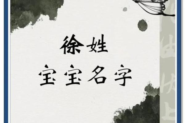 如何为徐姓男孩取一个既有意义又独特的名字