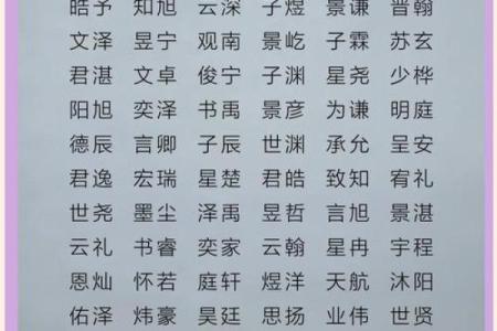 男孩名字选择指南：如何挑选寓意深远的名字