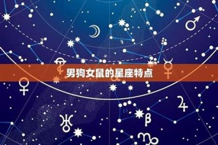 鼠与龙的缘分分析：这对组合是否理想