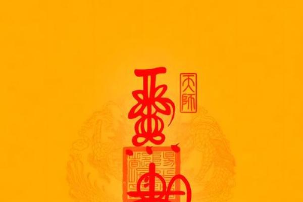 如何利用兔招财风水提升家庭财运