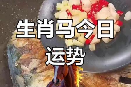 适合属马女孩的优雅名字，带来好运与美丽