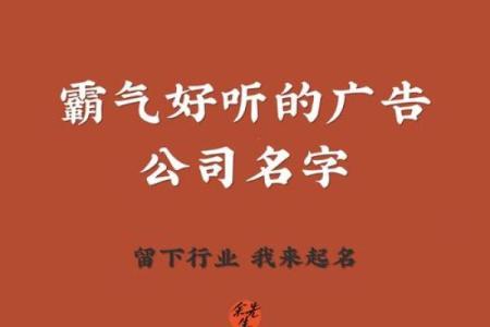 打造独特品牌形象的广告设计公司命名技巧