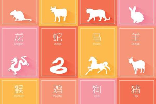 2024狗年运势大揭秘：属相万年历带你领略生肖魅力