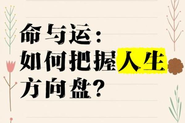 命是什么：探索生命中的意义与方向