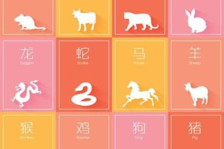 2024狗年运势大揭秘：属相万年历带你领略生肖魅力