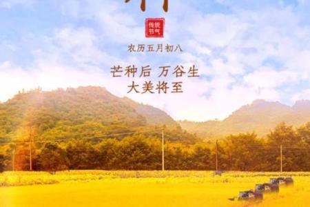 农历芒种，送走春季迎接丰收的第一步