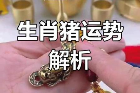 农历猪运势大揭秘，事业财运双丰收！