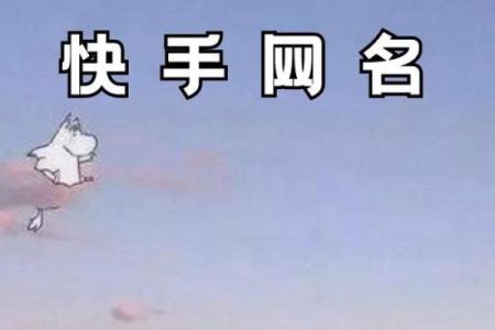如何挑选超拽名字，轻松让人记住你