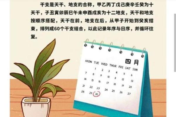 农历公里与太阳历的区别，了解两者的独特之处