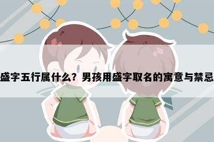 盛字五行属什么？男孩用盛字取名的寓意与禁忌