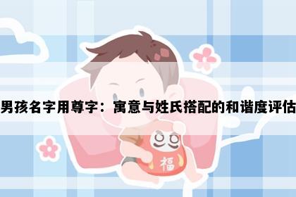 男孩名字用尊字：寓意与姓氏搭配的和谐度评估